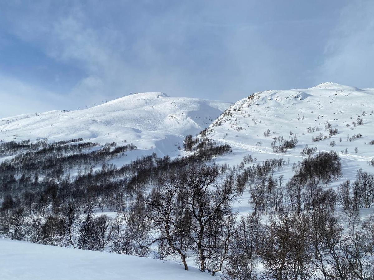 Vangslia, Oppdal. Lekker Leilighet Med Ski Inn/Ski Ut Kültér fotó